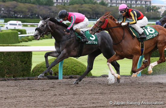 Sirius Stakes (G3)