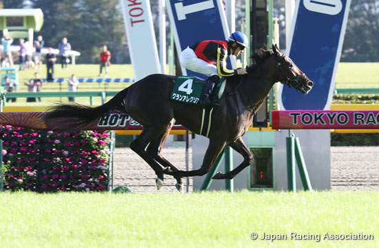 Saudi Arabia Royal Cup (G3)