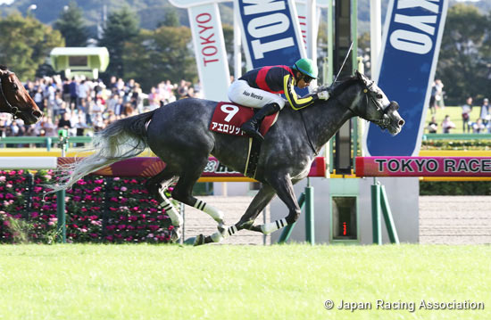 Mainichi Okan (G2)