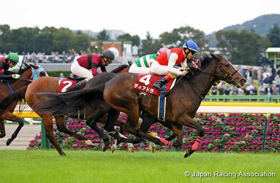 Ireland Trophy Fuchu Himba Stakes (G2)