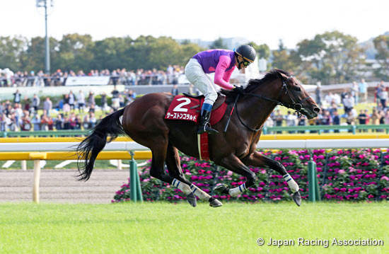 Tokyo High-Jump (J-G2)