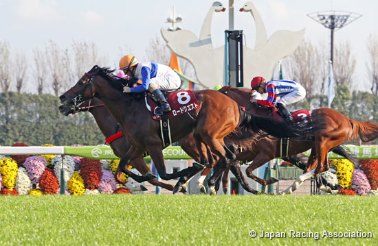 Mainichi Broadcast. Swan Stakes (G2)