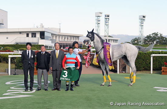Kyoto Jump Stakes (J-G3)
