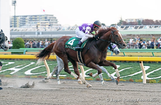 Tokyo Chunichi Sports Hai Musashino Stakes (G3)