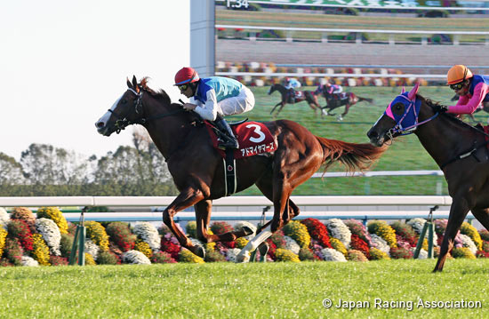 Daily Hai Nisai Stakes (G2)