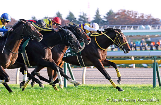 Tokyo Sports Hai Nisai Stakes (G3)