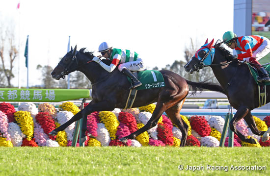 Radio Nikkei Hai Kyoto Nisai Stakes (G3)