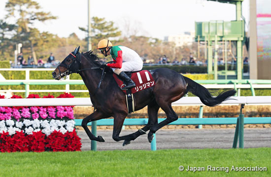 Sports Nippon Sho Stayers Stakes (G2)