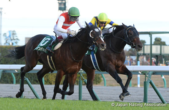 Chunichi Shimbun Hai (G3)