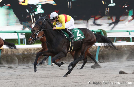 Capella Stakes (G3)