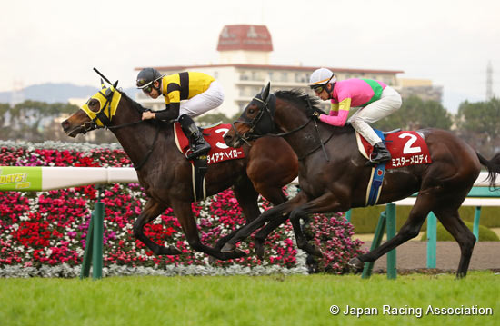 Hanshin Cup (G2)