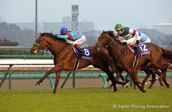 Arima Kinen (The Grand Prix) (G1)
