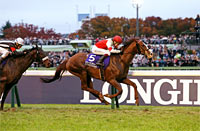 Japan Cup in association with LONGINES - Deep Impact Memorial (International Invitational) (G1)
