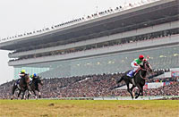 Arima Kinen (The Grand Prix) (G1)