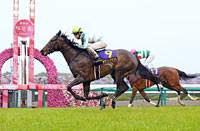 Oka Sho (Japanese 1000 Guineas) (G1)