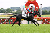 Tokyo Yushun (Japanese Derby) (G1)