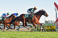 Silk Road Stakes (G3)