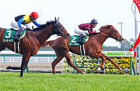 Kisaragi Sho (NHK Sho) (G3)