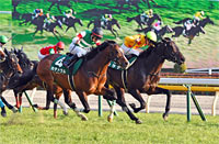 Tokyo Shimbun Hai (G3)