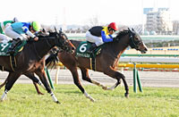 Daily Hai Queen Cup (G3)