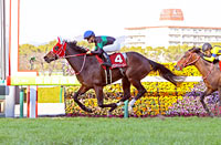 Kyoto Kinen (G2)