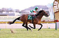 Kyodo News Hai (Tokinominoru Kinen) (G3)