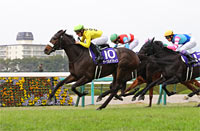 Hanshin Juvenile Fillies (G1)