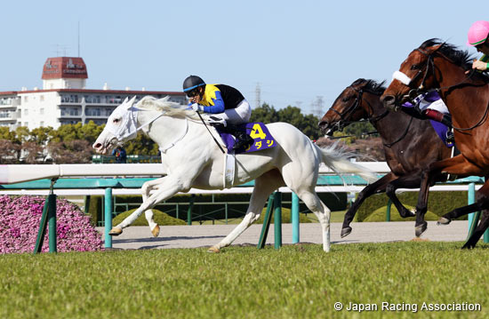 Oka Sho (Japanese 1000 Guineas) (G1)