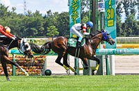 Niigata Jump Stakes (J-G3)