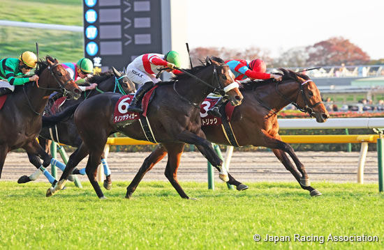 Tokyo Sports Hai Nisai Stakes (G2)