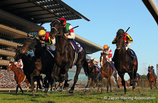 Japan Cup in association with LONGINES (International Invitational) (G1)