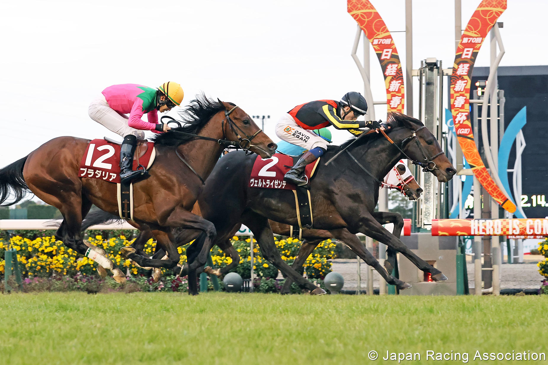 Photo Gallery｜News & Media｜Horse Racing in Japan