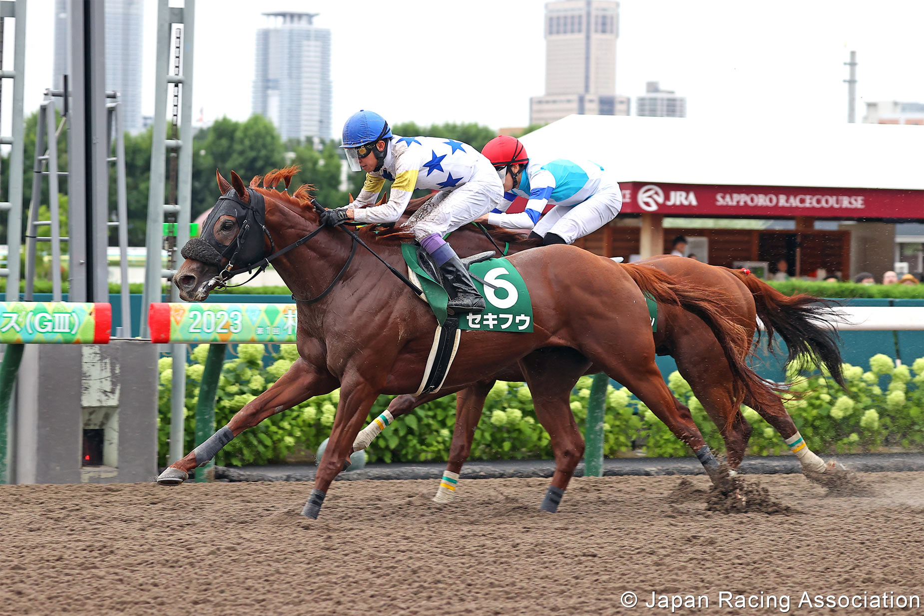 Horse Racing in Japan