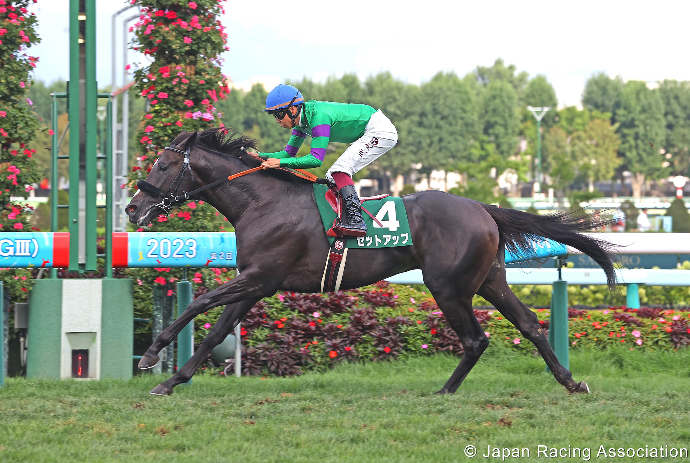 Horse Racing In Japan