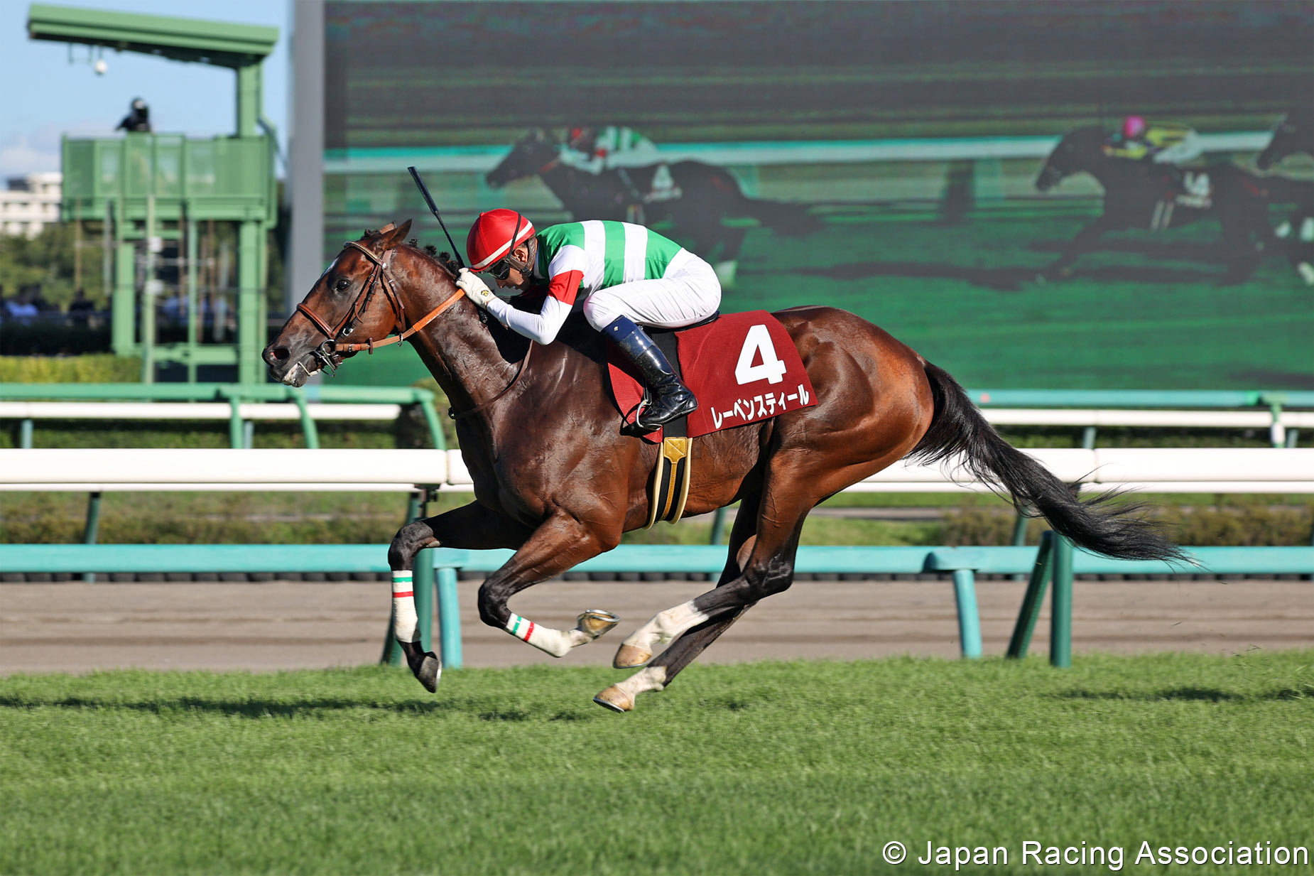 Horse Racing In Japan