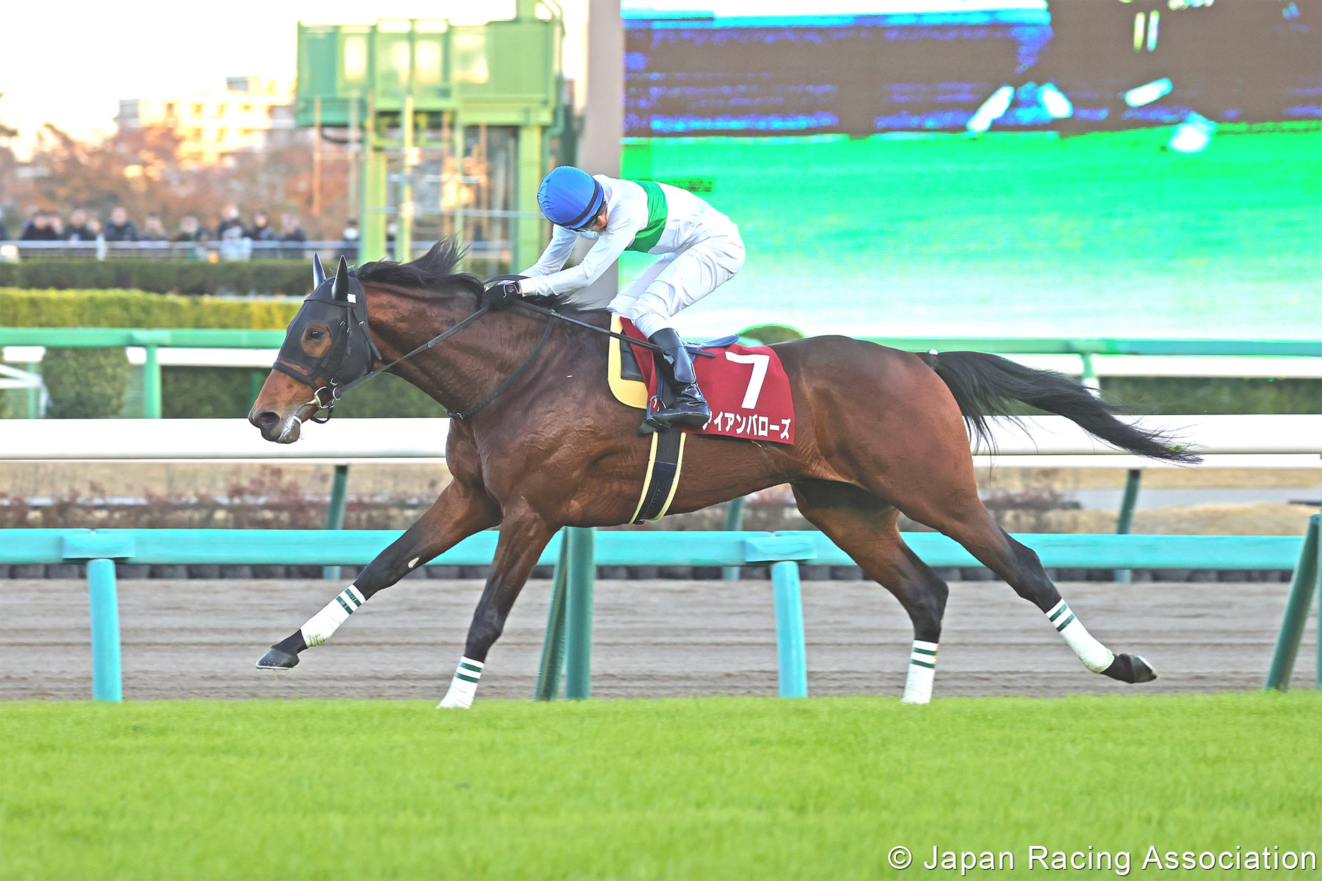 Horse Racing In Japan