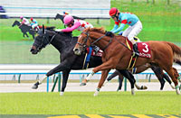 Kyoto High-Jump (J-G2)