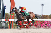 Heian Stakes (G3)