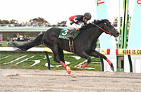 Tokyo Chunichi Sports Hai Musashino Stakes (G3)