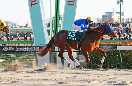 Negishi Stakes (G3)