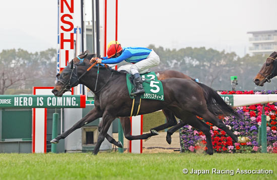 Kyoto Himba Stakes (G3)