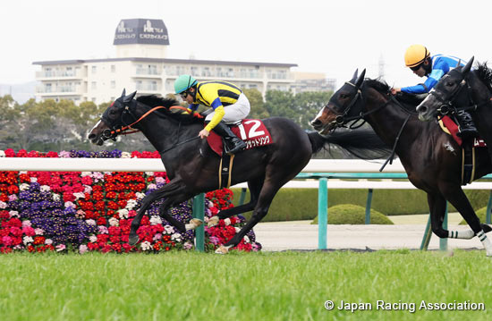 Hochi Hai Fillies' Revue (Japanese 1000 Guineas Trial) (G2)