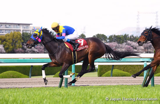 Sankeisports Hai Hanshin Himba Stakes (G2)