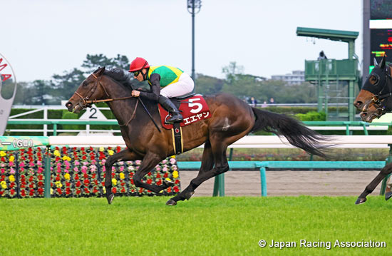 New Zealand Trophy (NHK Mile Cup Trial) (G2)