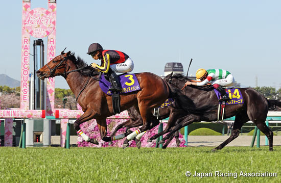 2023.05.19 Yushun Himba (Japanese Oaks) (G1) - Comments from