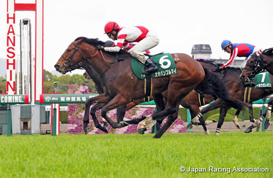 Arlington Cup (NHK Mile Cup Trial) (G3)