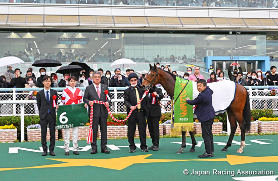 Arlington Cup (NHK Mile Cup Trial) (G3)