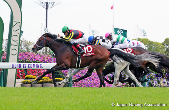 Yomiuri Milers Cup (G2)