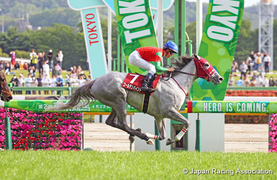 Sankei Sports Sho Flora Stakes (Japanese Oaks Trial) (G2)