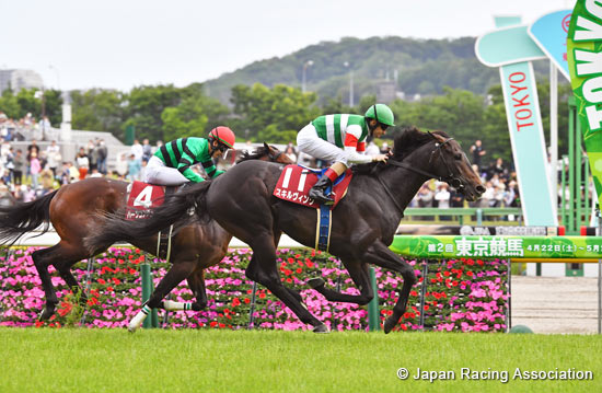 TV Tokyo Hai Aoba Sho (Japanese Derby Trial) (G2)